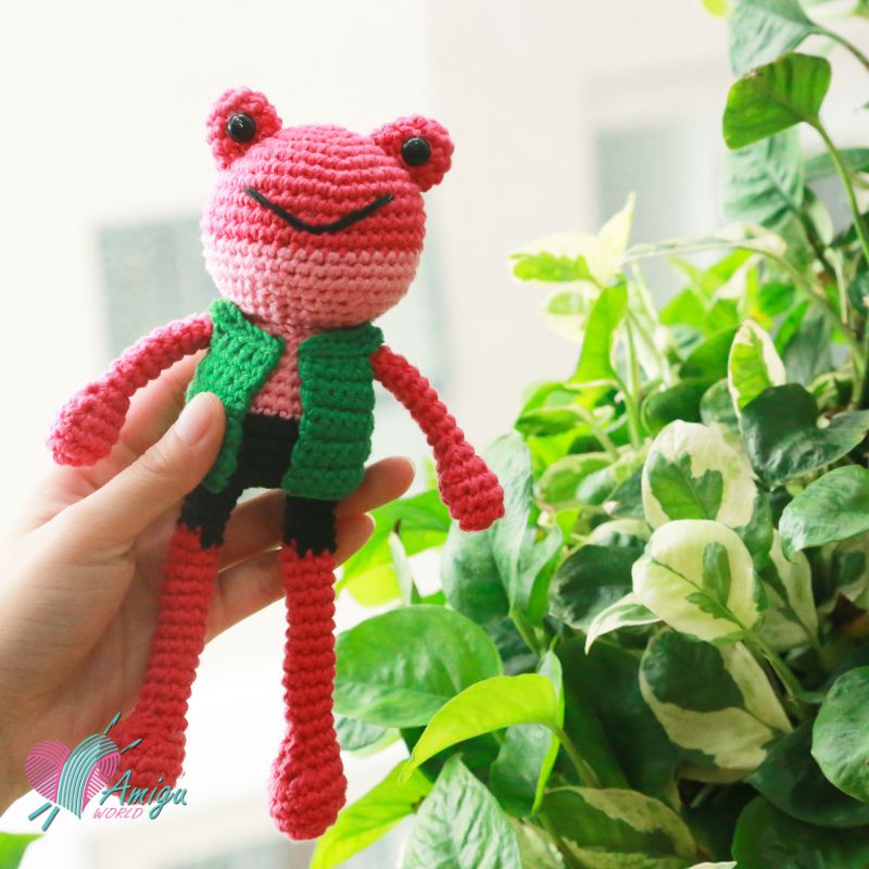 Amigurumi little Frog in vest crochet pattern